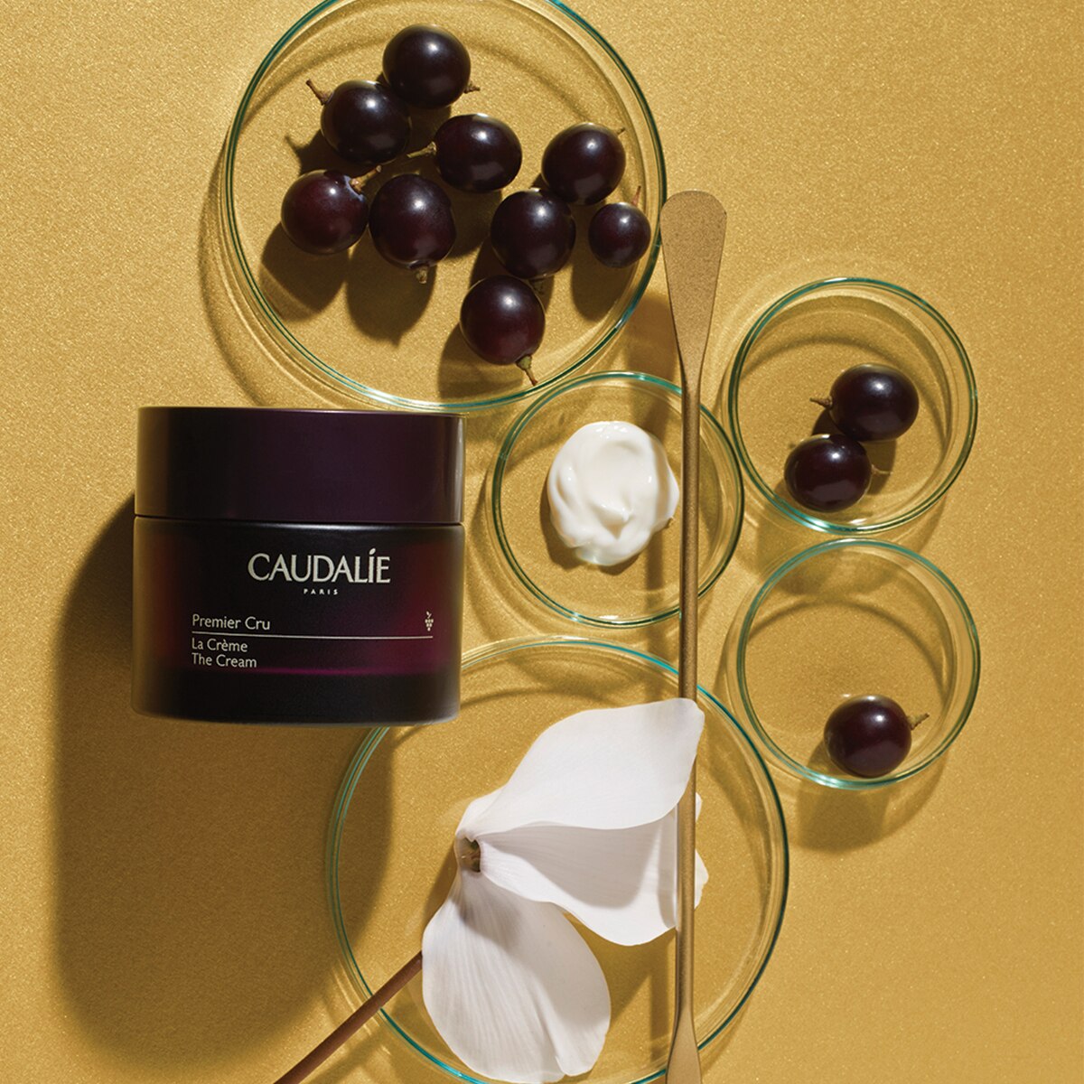 PREMIER CRU (CREMA ANTIENVEJECIMIENTO)